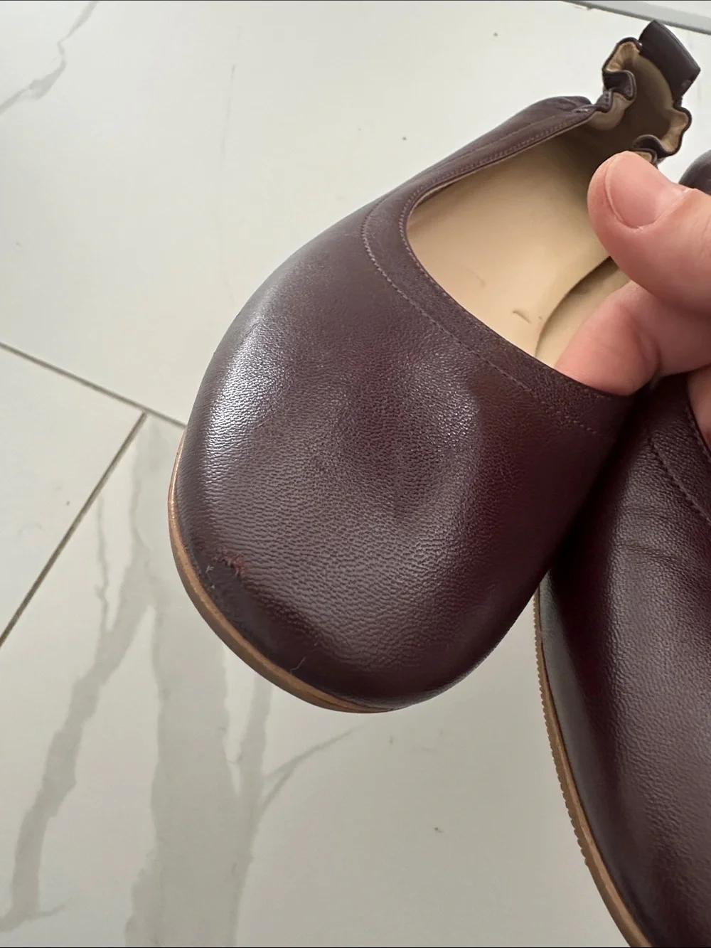 Everlane Day Heel Oxblood 8.5 Leather